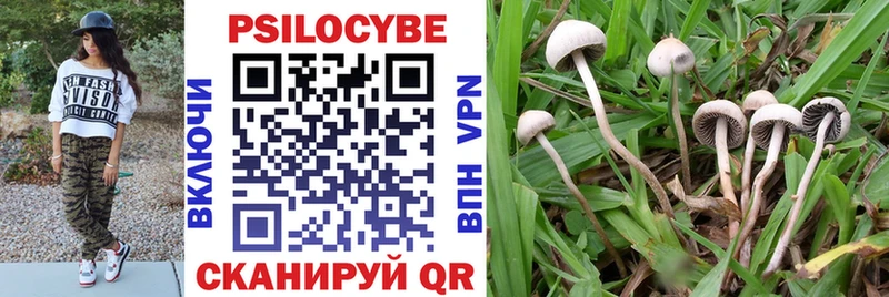 Галлюциногенные грибы Psilocybine cubensis  ссылка на мегу ССЫЛКА  Нижневартовск 