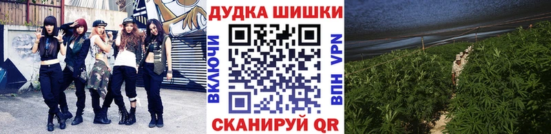купить   Нижневартовск  Марихуана Bruce Banner 